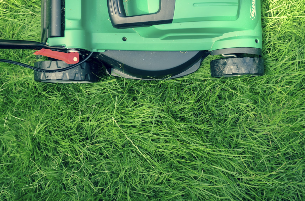 Say Goodbye to Brown Spots: How to Repair Damaged Turf