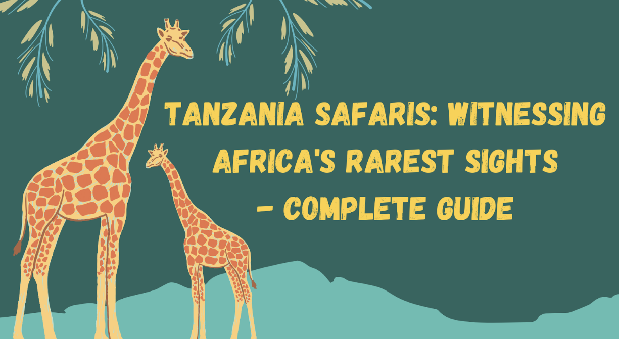 Tanzania Safaris: Witnessing Africa's Rarest Sights - Complete Guide