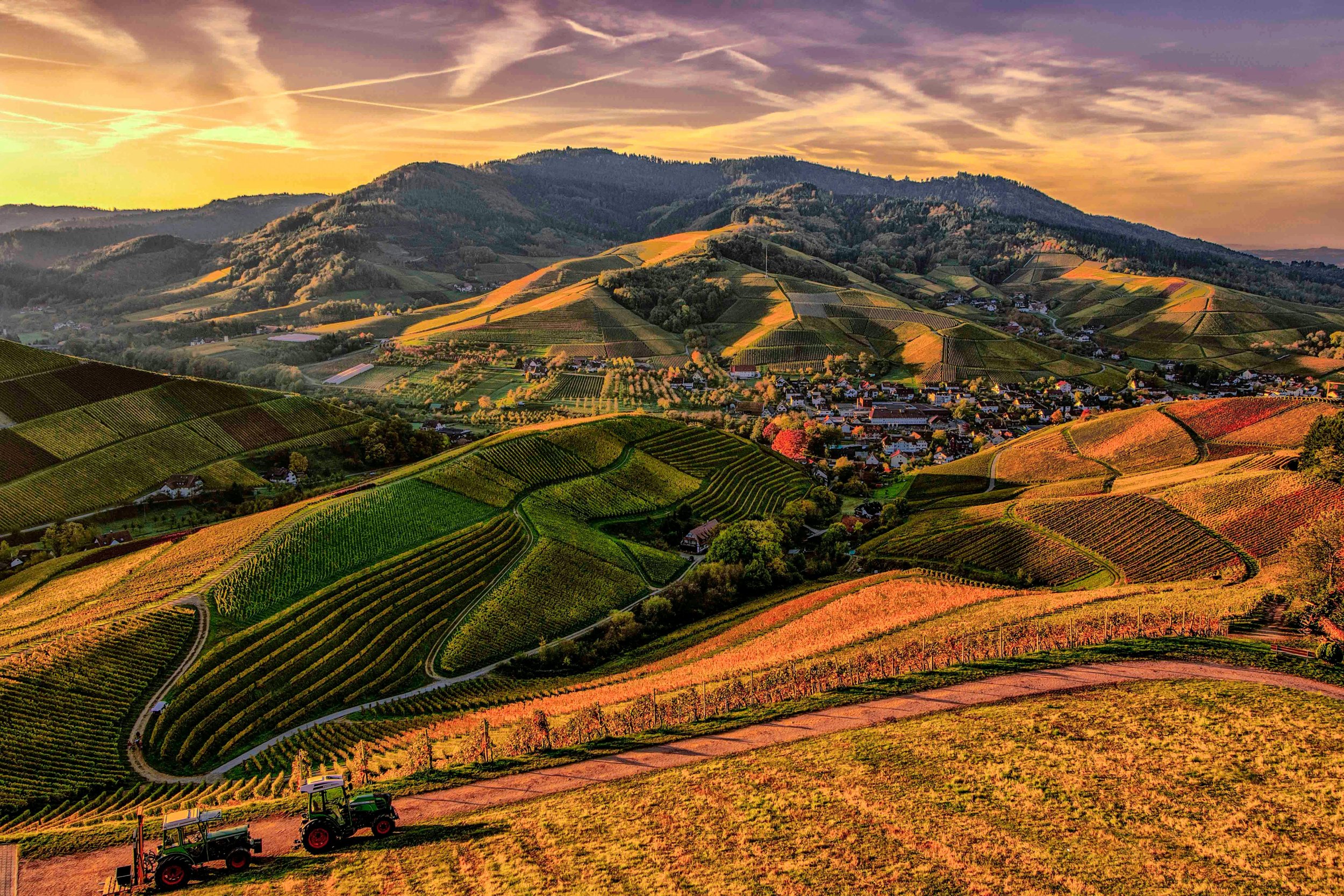 Delving into the Emerging Travel Trend "Agritourism"