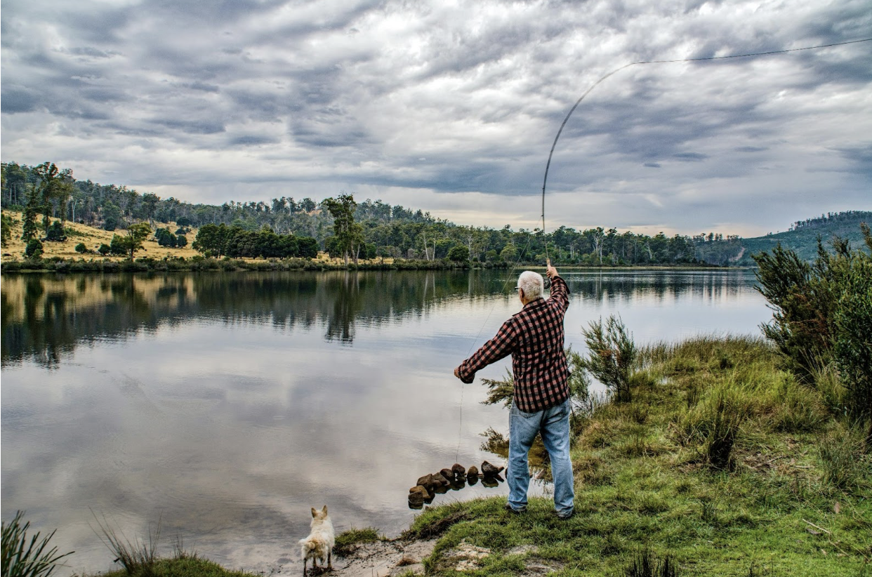 Fly Fishing 101: A Beginner's Guide to the Essential Gear and Techniques