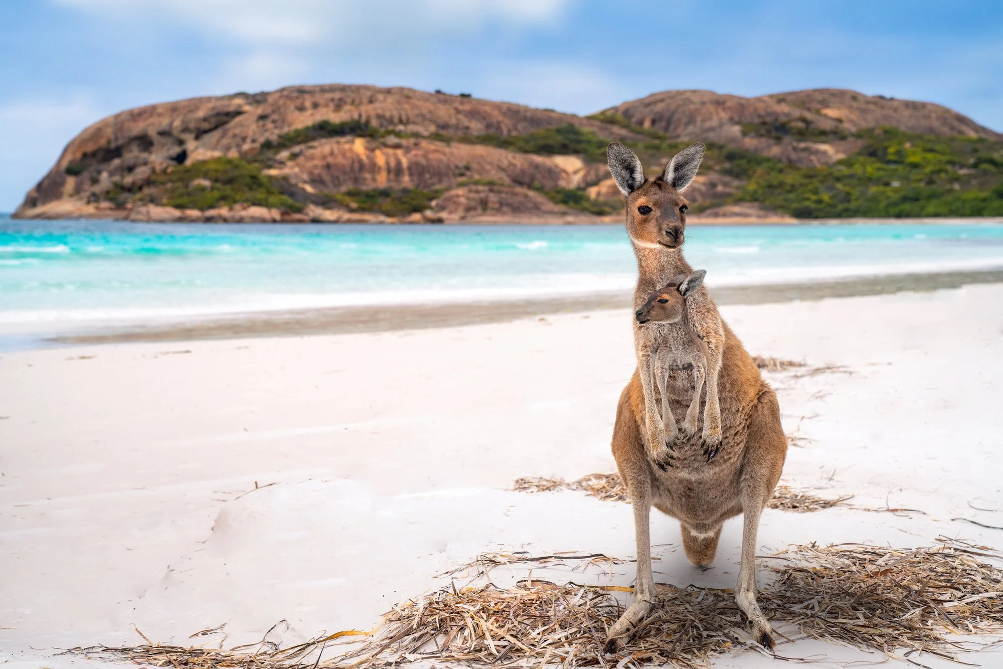 Got An Upcoming Holiday To Australia? Things To Do While Traveling In Australia