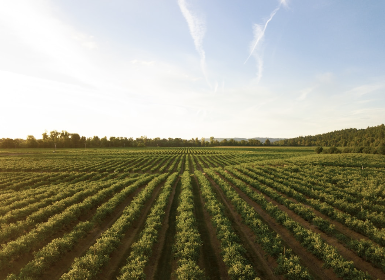 How To Start a Farm in Canada