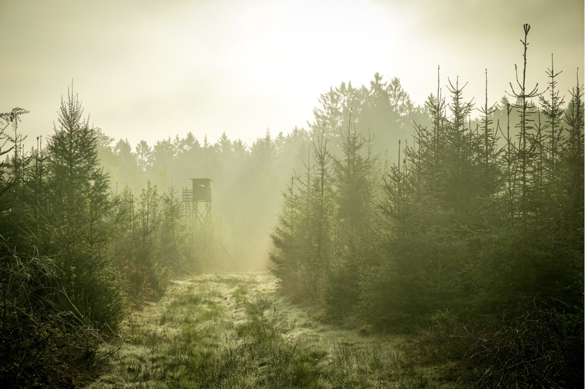The Ultimate Guide to Planning a Successful Hunting Trip