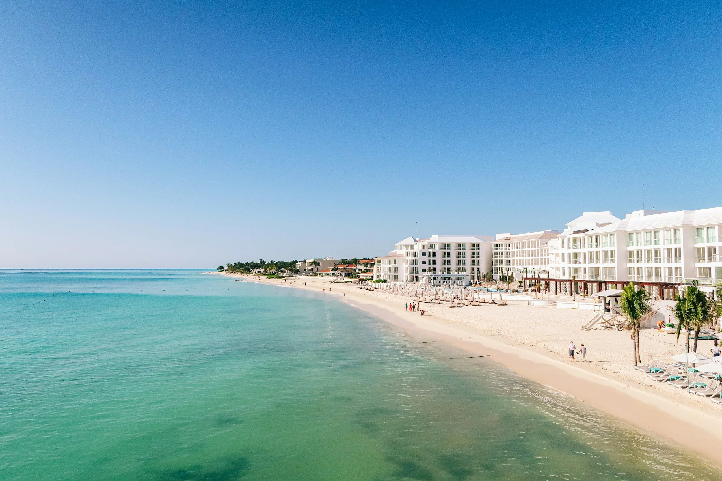 From Coast to Cenotes: Diving into Mexico's Aquatic Wonders