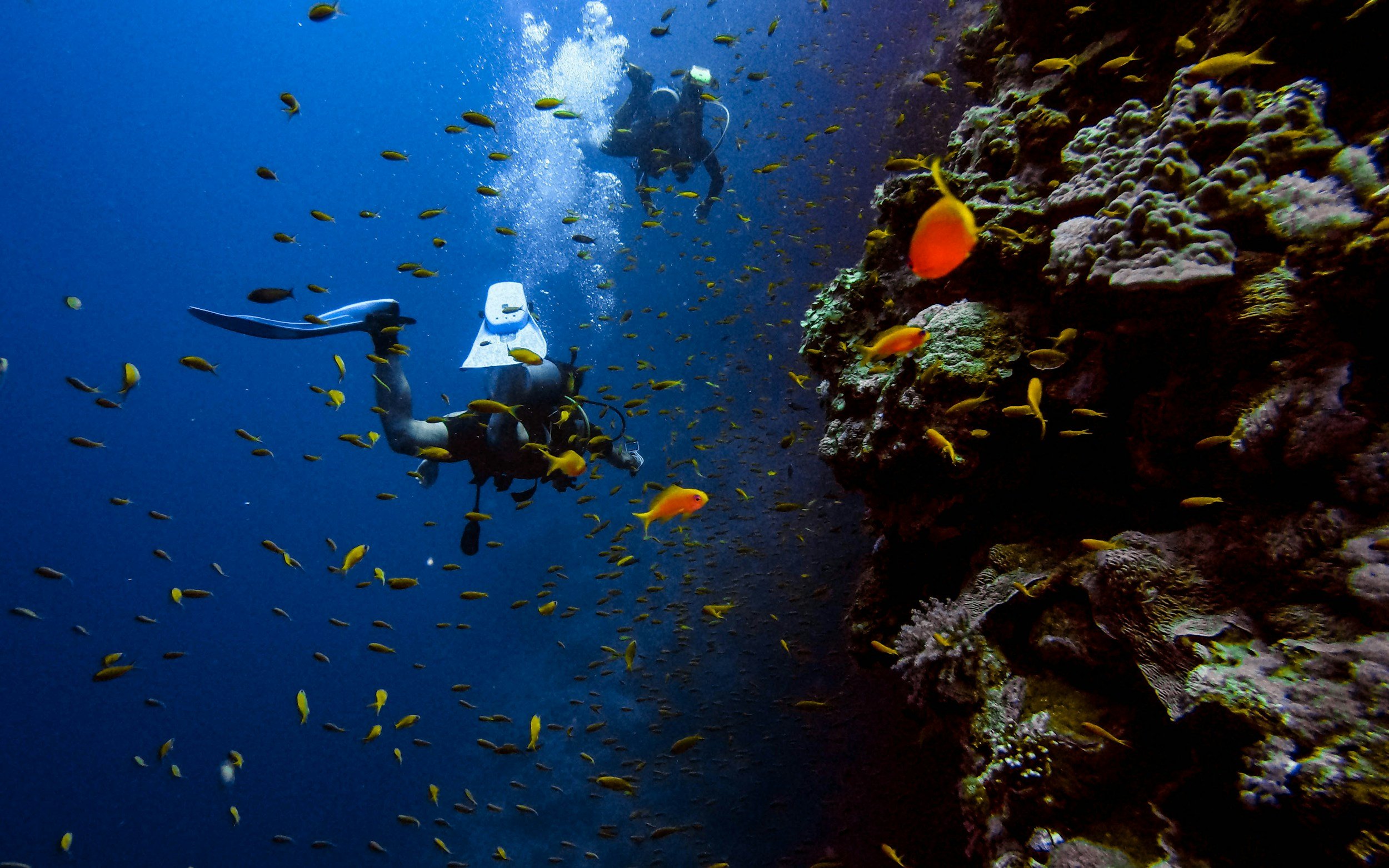 Discover the Thrills of Underwater Exploration