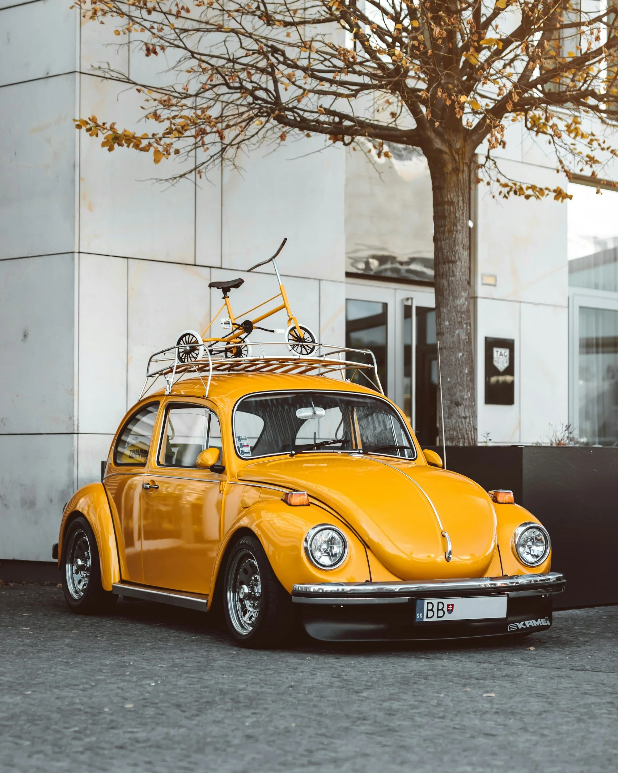 Classic VW Restoration Project - Steps To Renew Your Vintage Ride