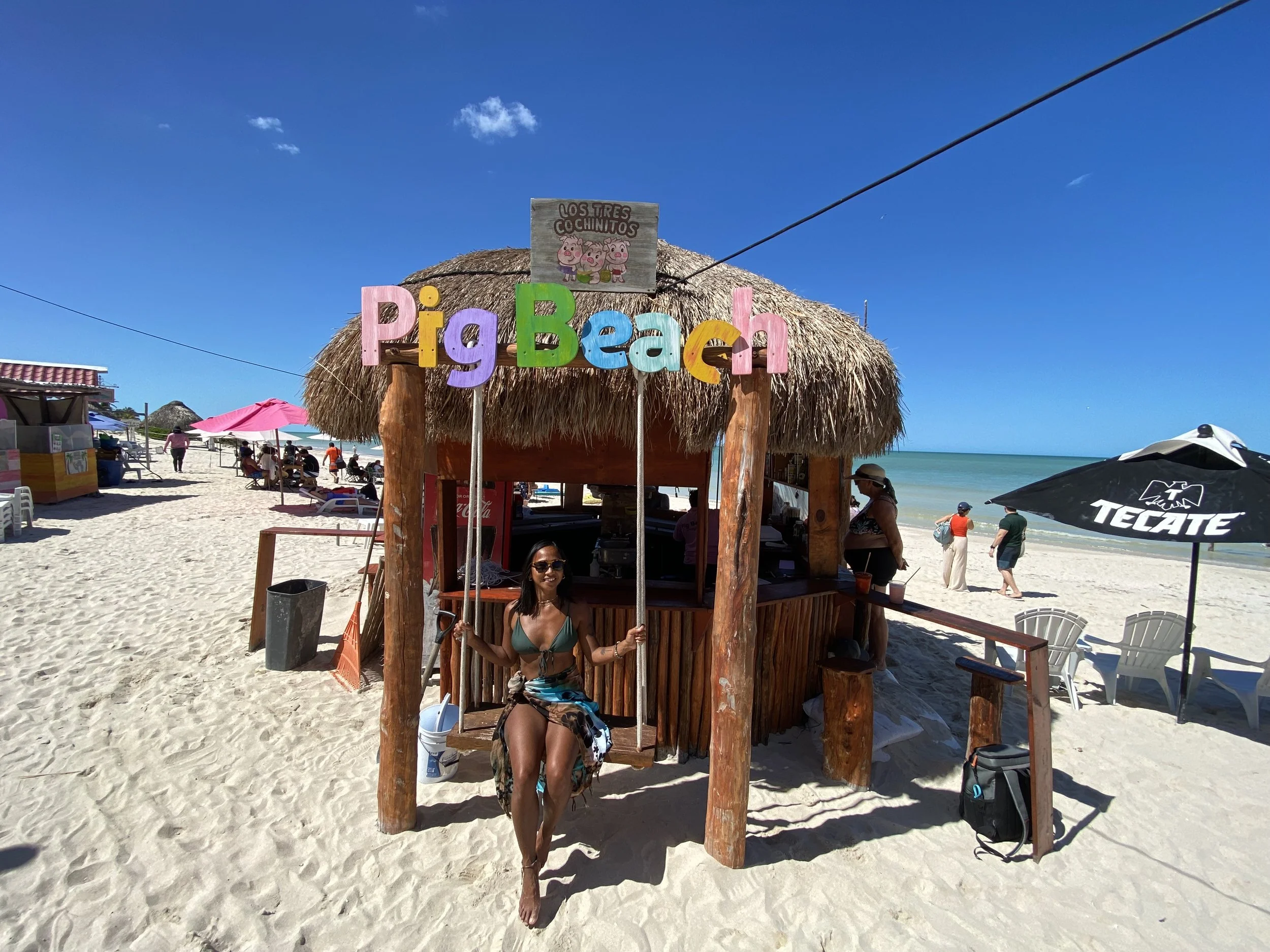 Pig Beach, Progreso, Mexico