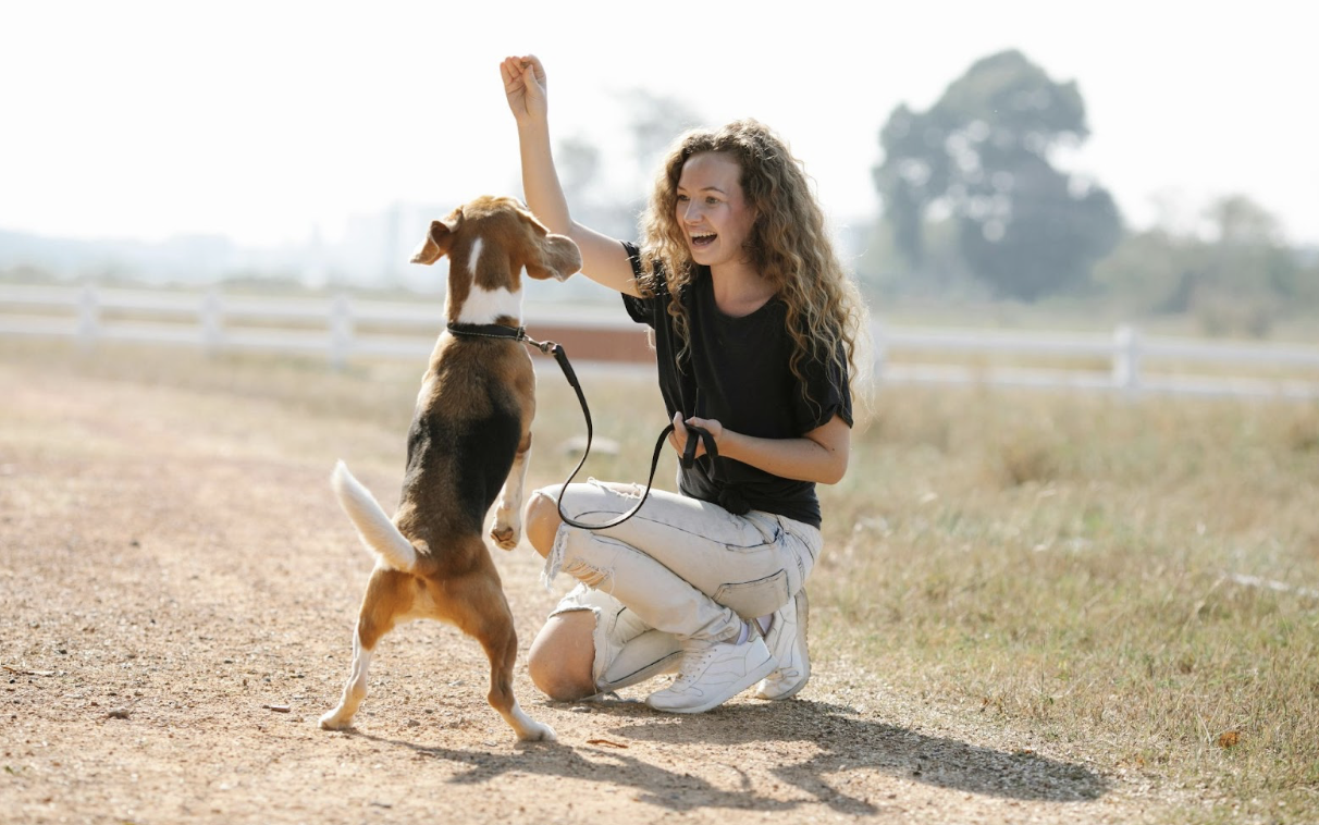 Pawsitive Results: How Training Can Improve Your Dog's Behavior