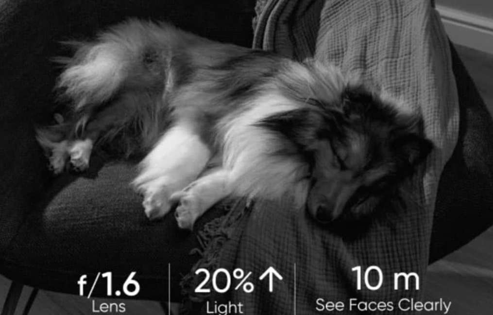 Can Home Cameras Double as Pet Monitors?