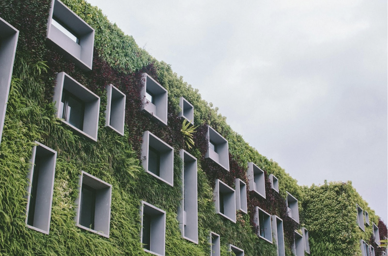 Building Your First Eco-friendly Home: Top Facts You Need to Know