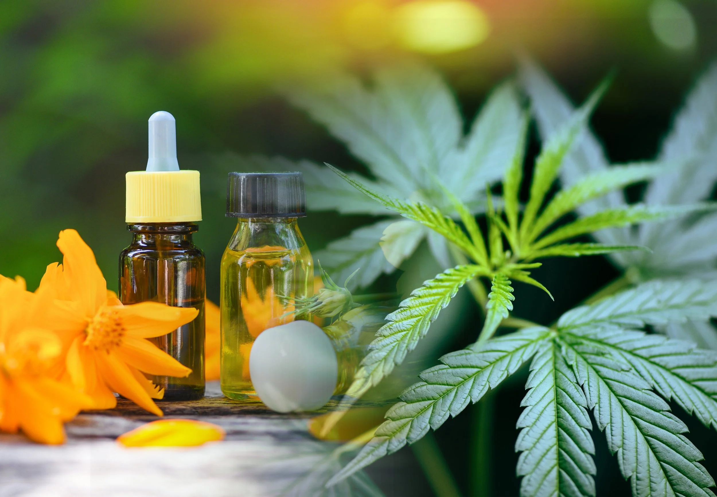 How To Choose The Right Cannabis Product For Your Needs