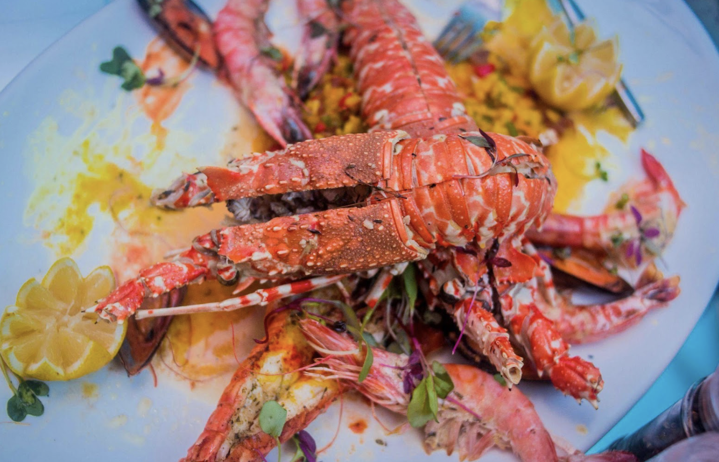 Discover the Ultimate Seafood Platter Experience