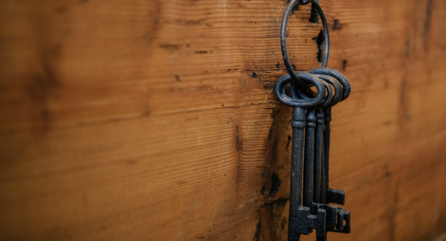Why a Stainless Steel Cable Key Ring is the Best Choice