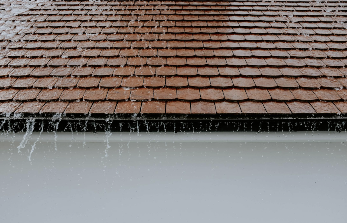 What Maintenance Should Be Done on a Roof? Here’s What to Know