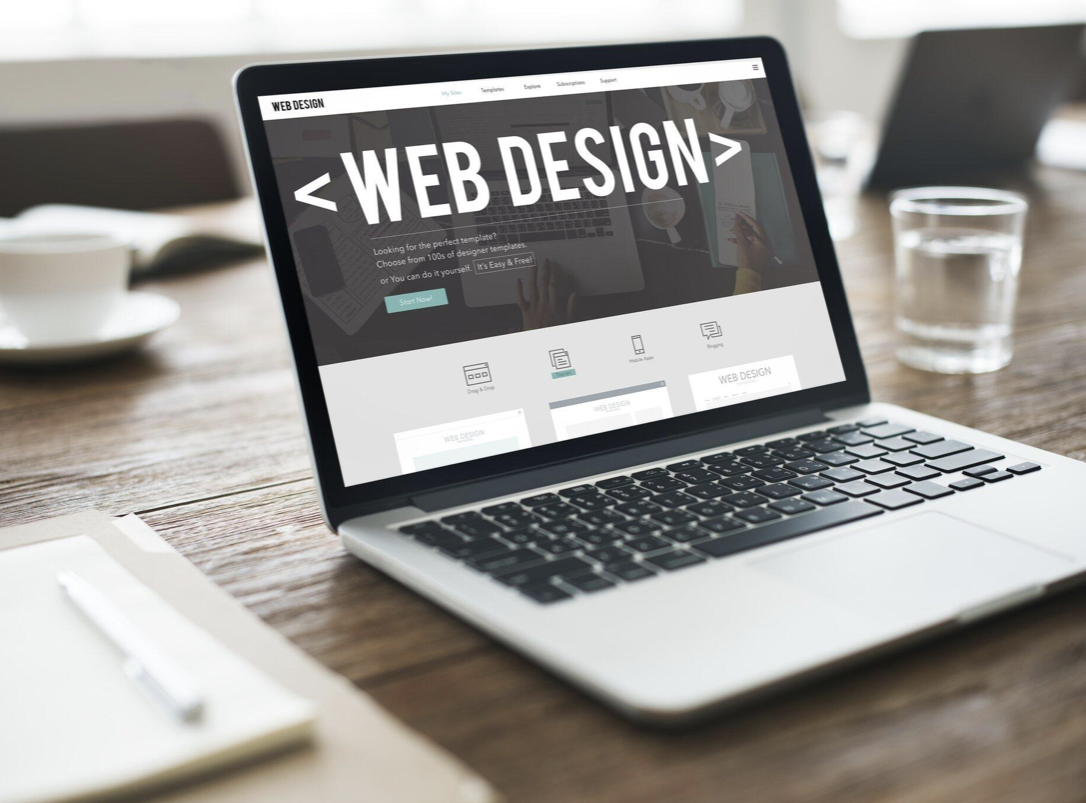 The Top Programming Languages Every Web Developer Should Know