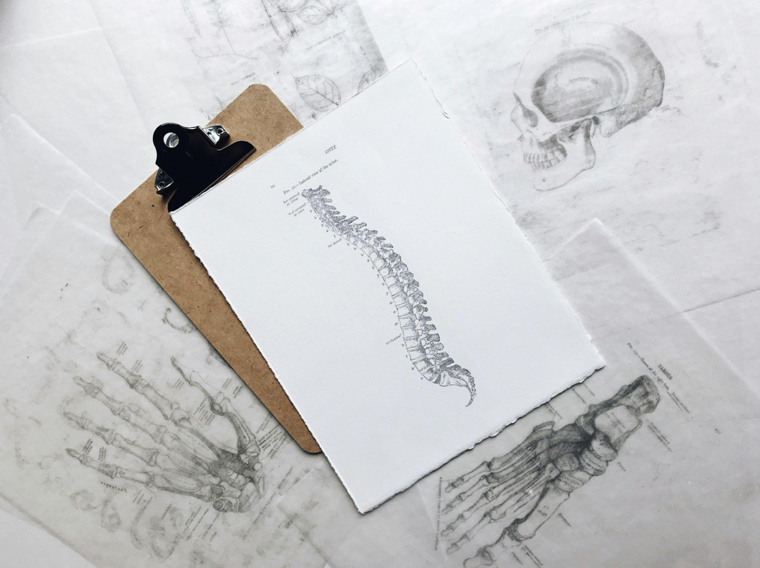 What Can Be Considered Spinal Injury Claims