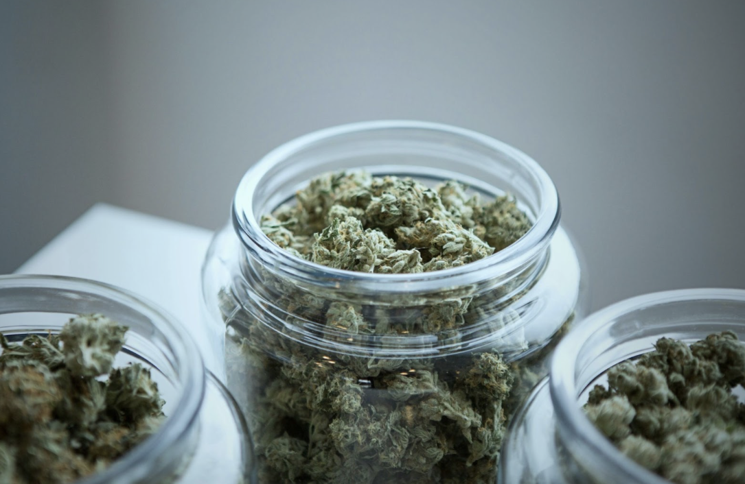Top 6 Tips for Keeping Your Cannabis Fresh for Longer