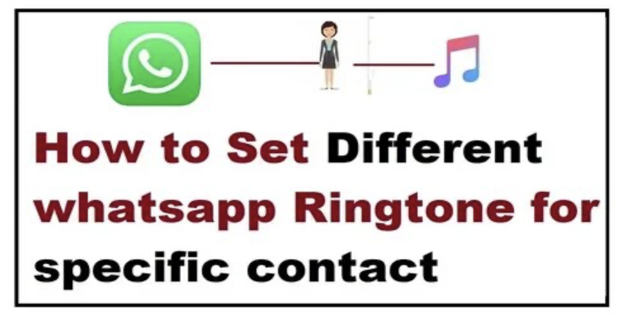 How to Customize Notifications and Ringtones in WhatsApp