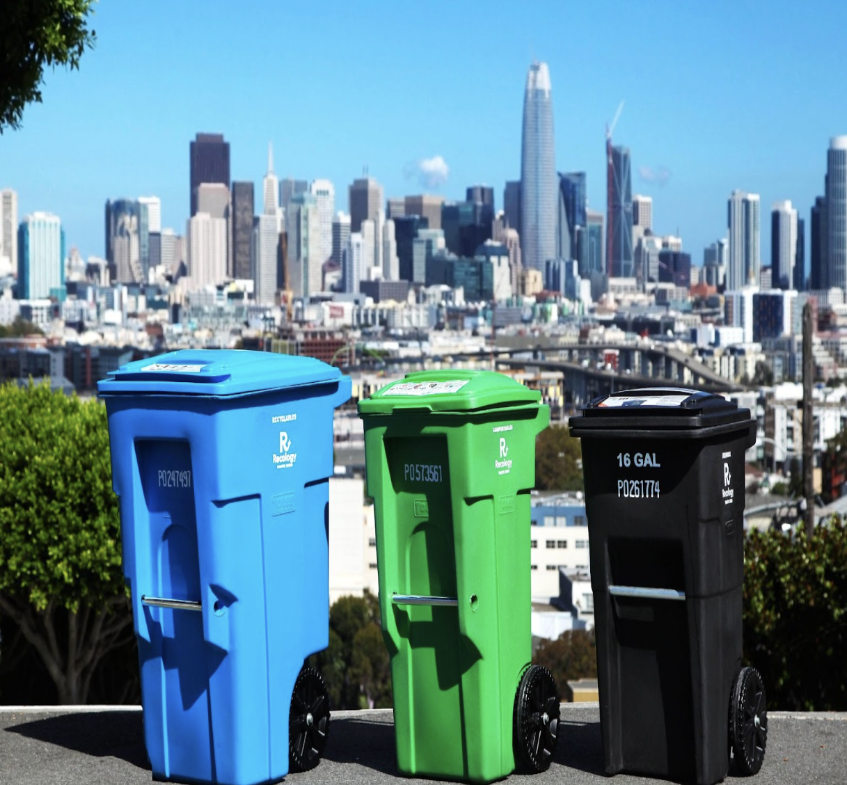 How Does Waste Management Help Sustainability?