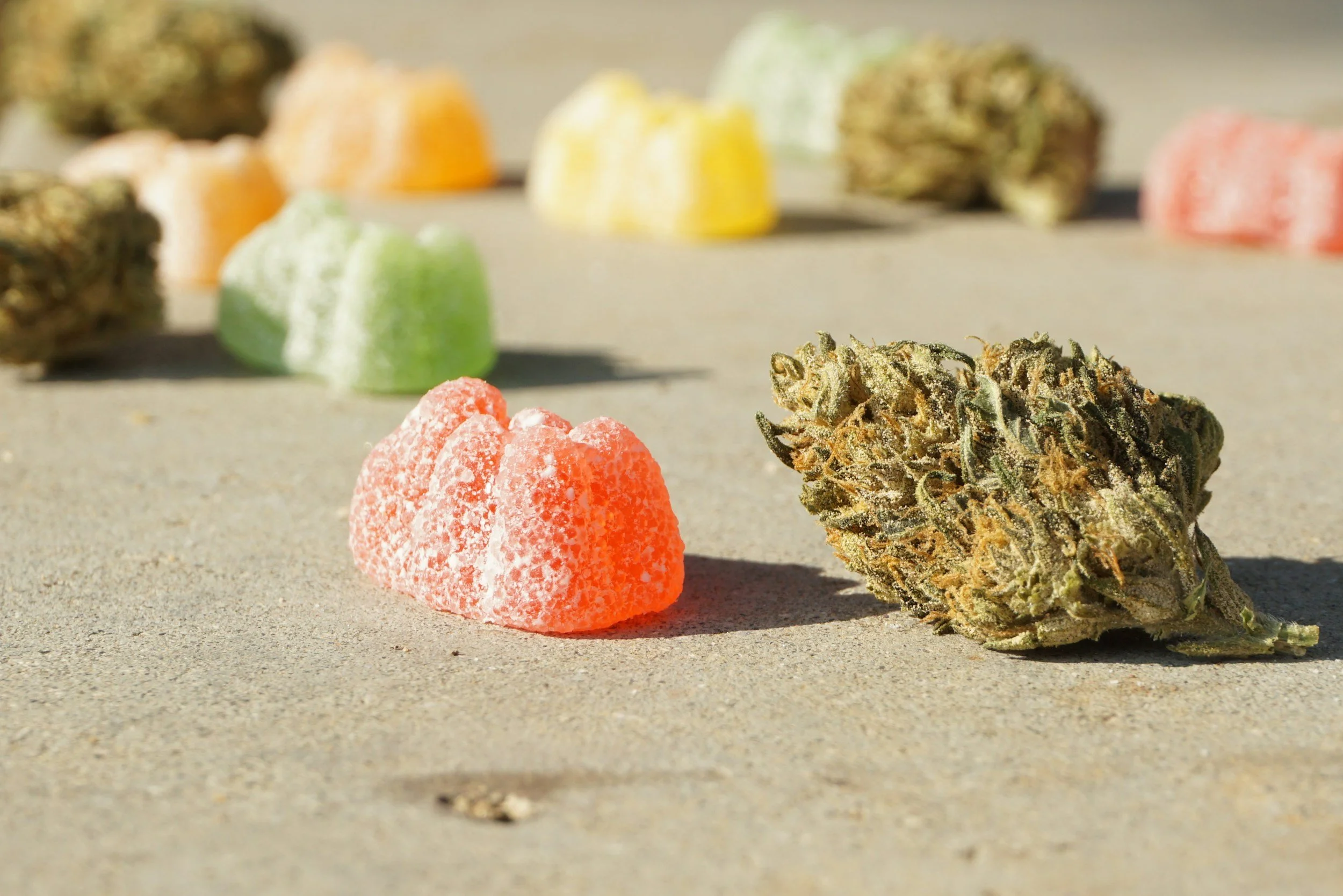 CBD Gummies Canada Legal: The Ultimate Guide 2024