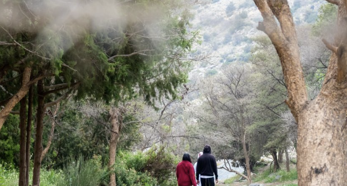 Top Summer Attractions in Saudi Arabia for an Exclusive Getaway