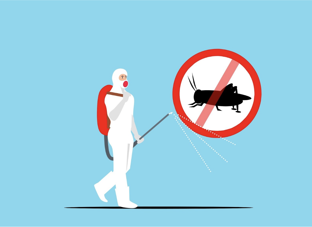The Benefits of Professional Pest Control: Why It's Worth It
