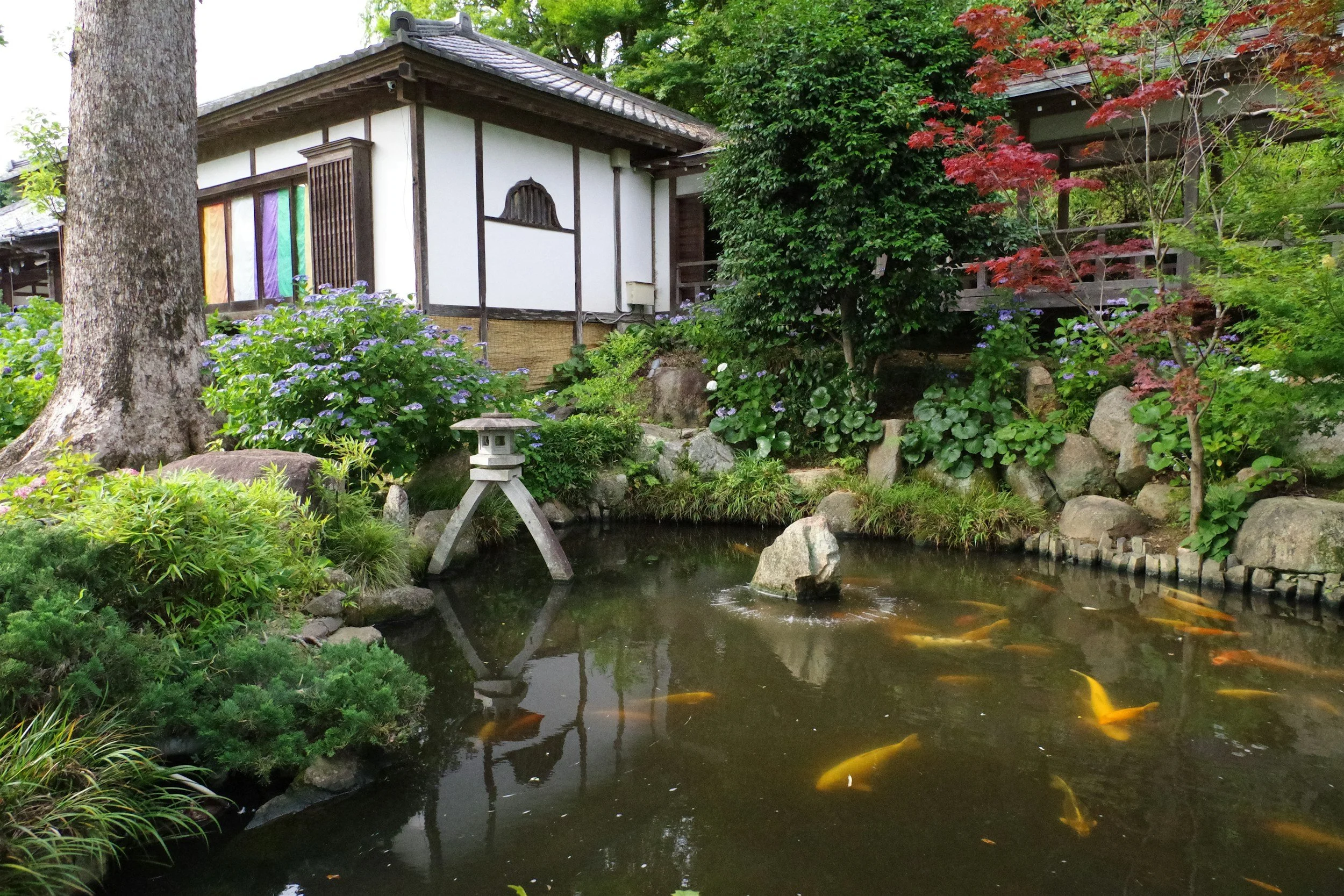 Key Features to Choose the Best Pond Liner