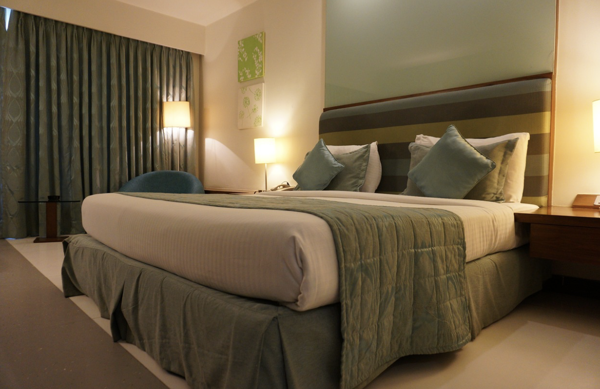 Flea Removal in Hotels: Essential Steps for a Pest-Free Guest Experience