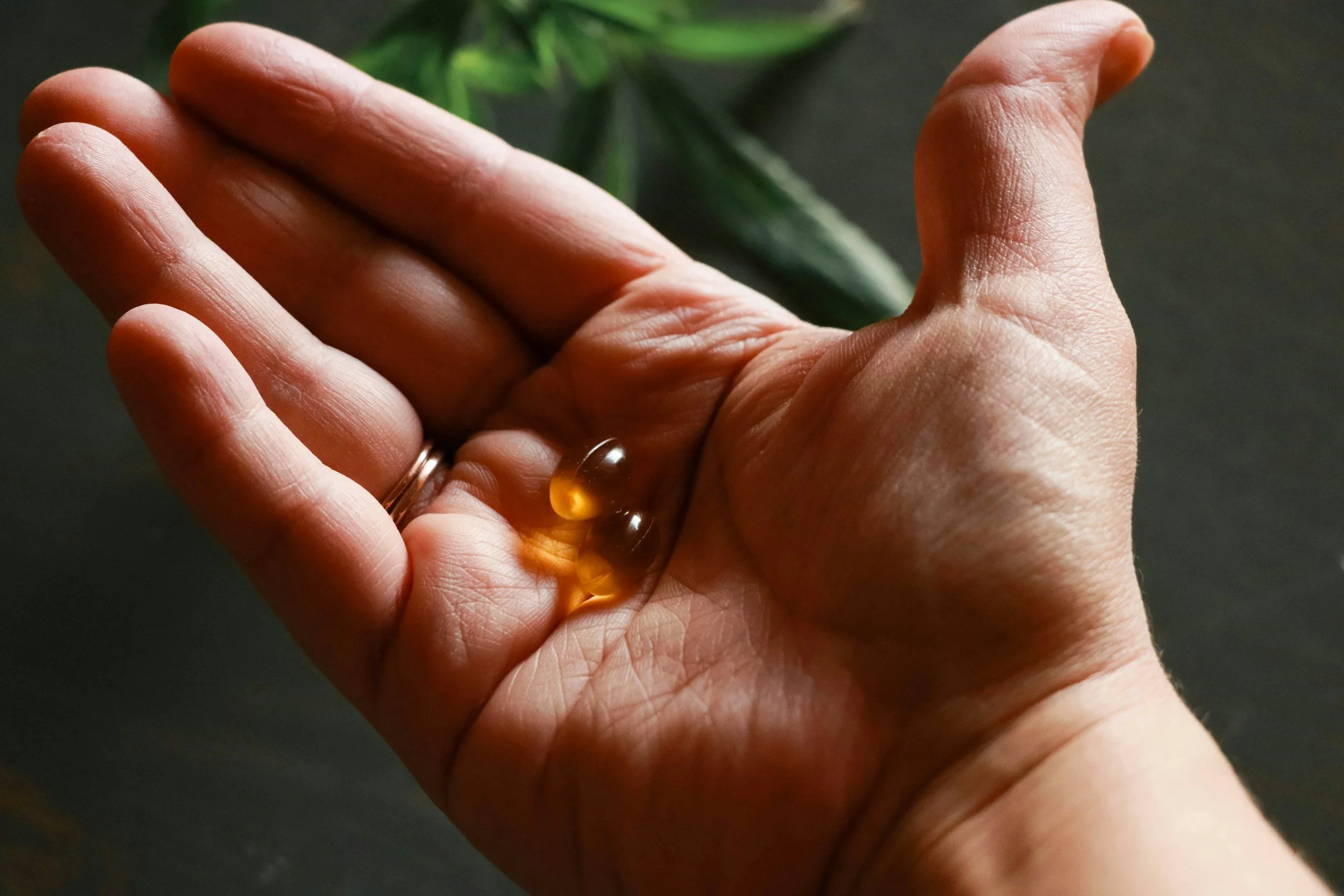 How to Incorporate CBD oil capsules &nbsp; into Your Daily Wellness Routine?