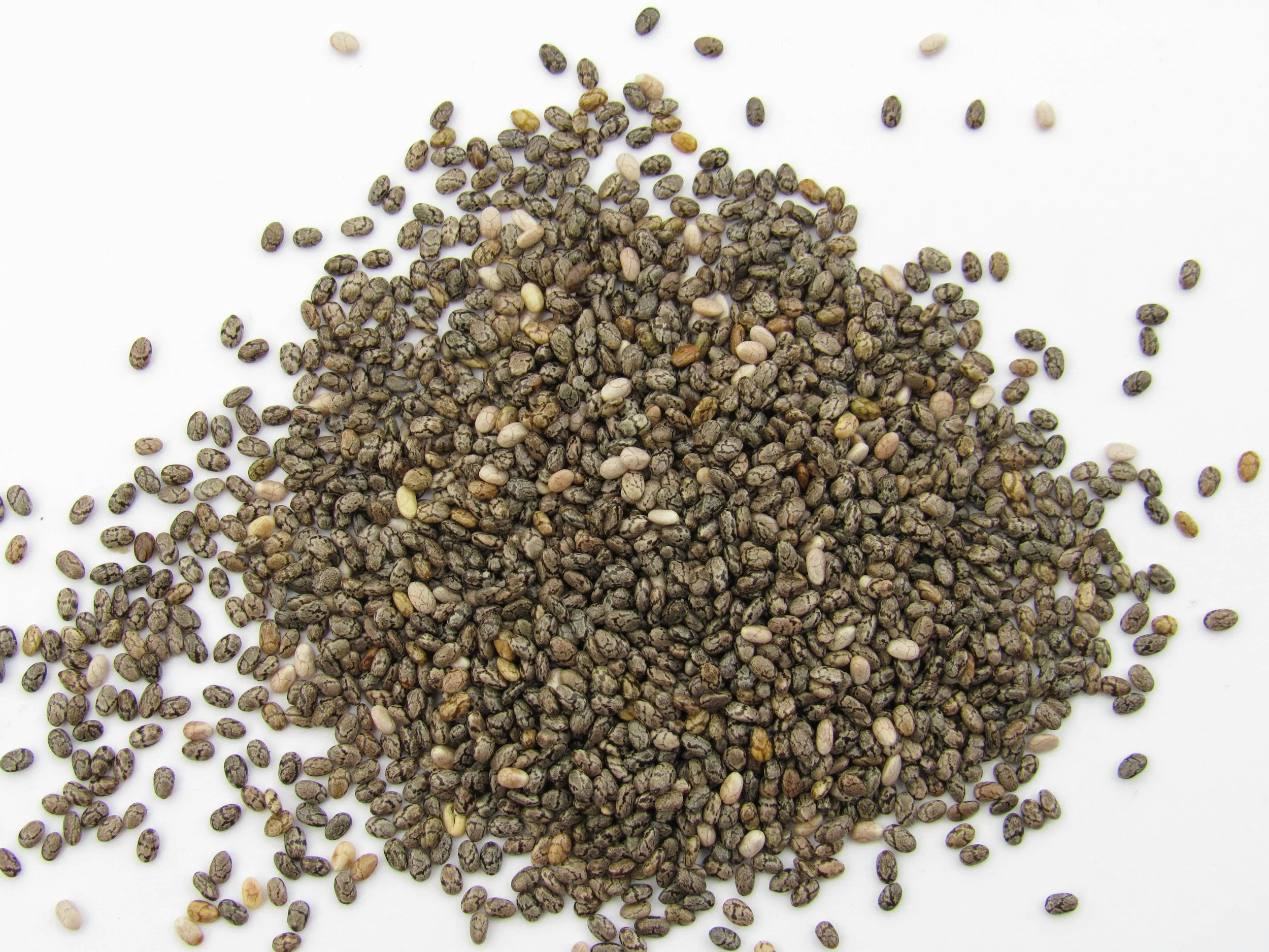  Health Benefits of Chia Seeds: Why They Should Be in Your Diet