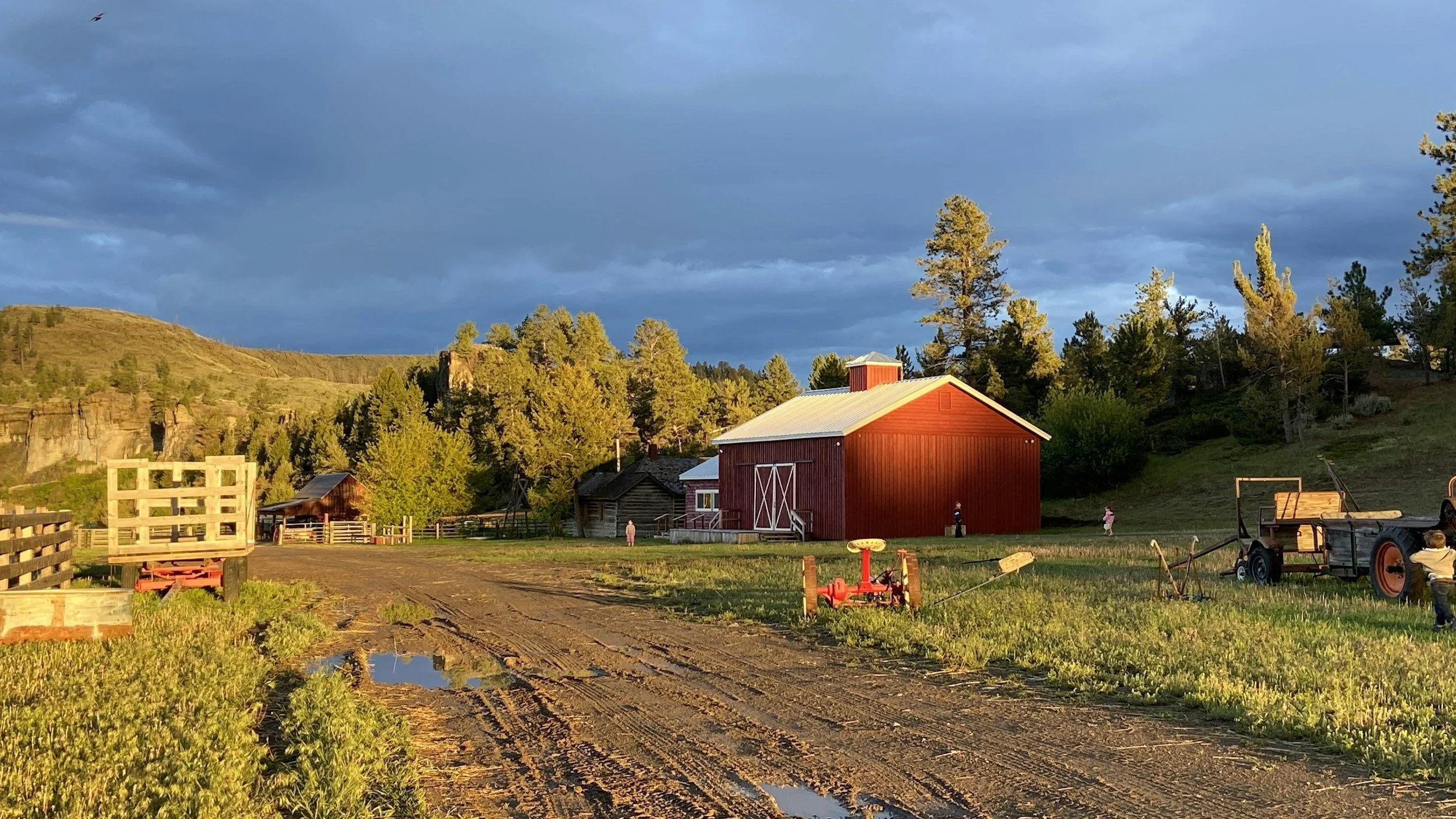 Maximizing Efficiency: How Steel Farm Buildings Revolutionize Agricultural Operations
