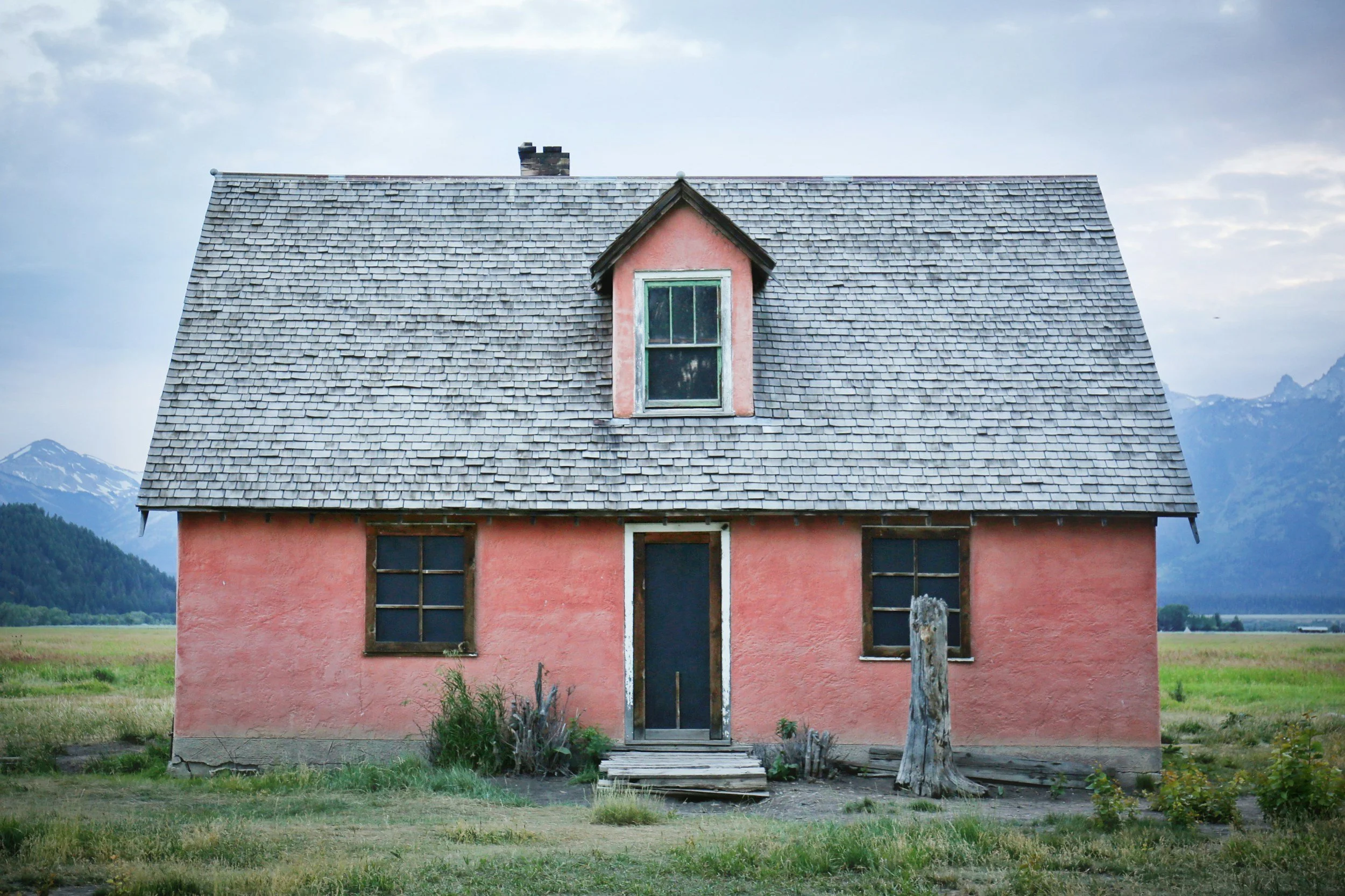 Revitalize Your Space: Cutting-Edge Mold Remediation for a Healthier Home
