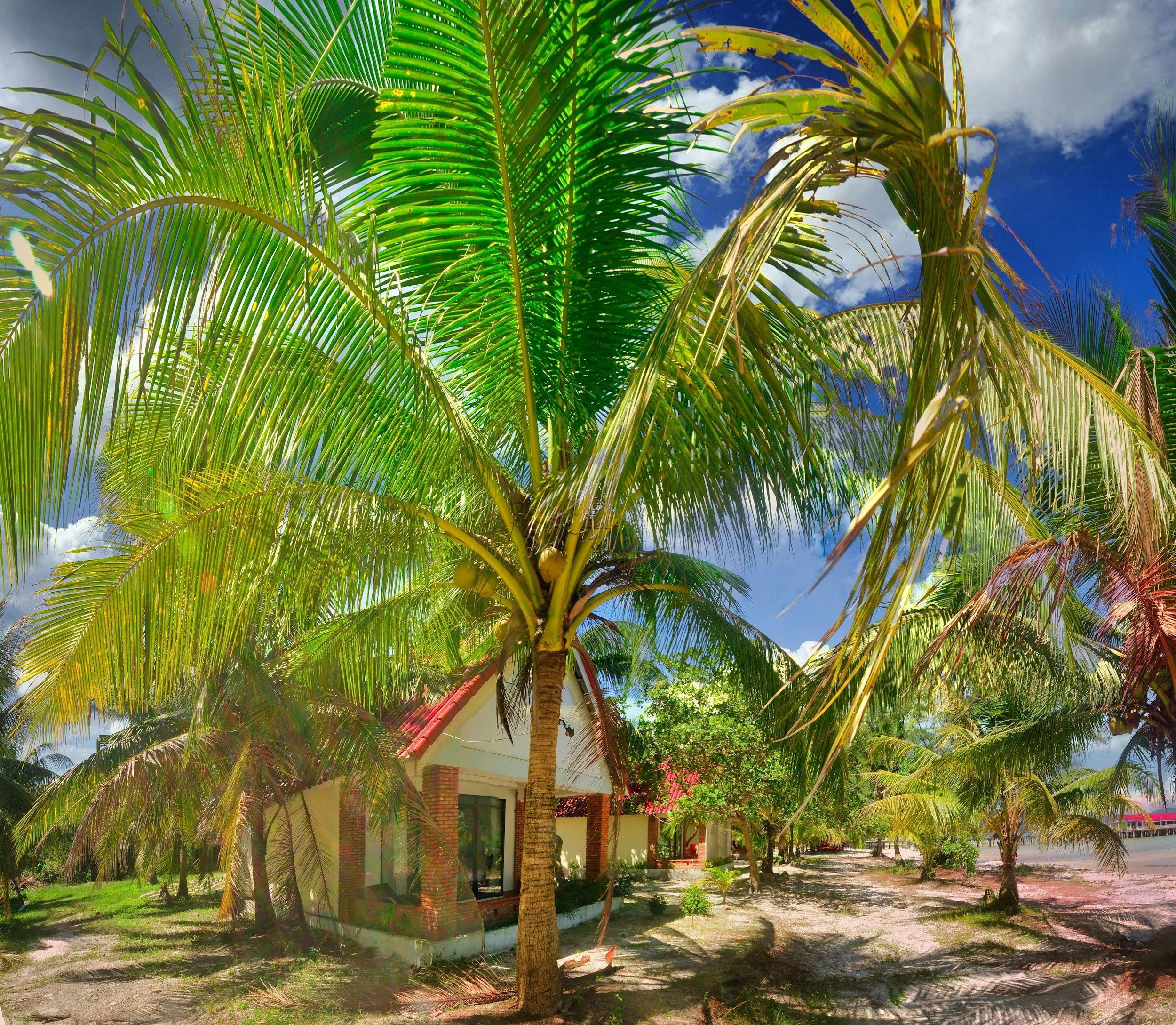 Seaside Success: 4 Reasons to Invest in a Beach House in Antigua and Barbuda