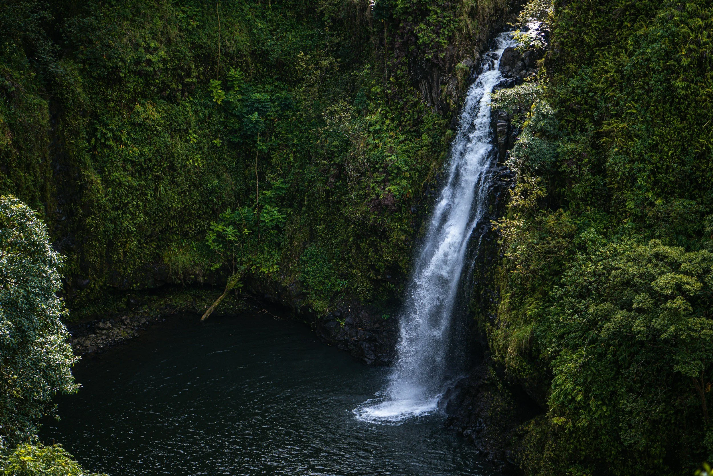Explore the Best of Maui with a Road to Hana Half Day Tour