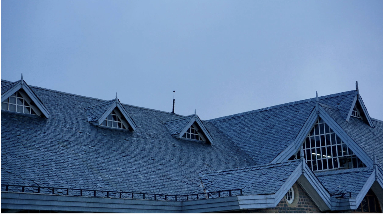 What Are the Top Benefits of Professional Roofing Services?