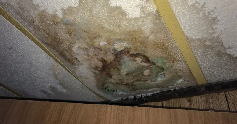 Restoring Your Home After Water Damage: What You Need to Know