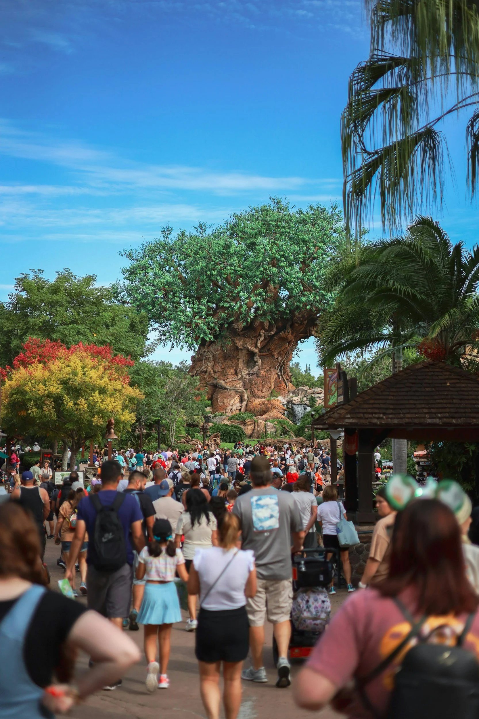 The Best Ways to Keep Young Explorers Safe in Amusement Parks