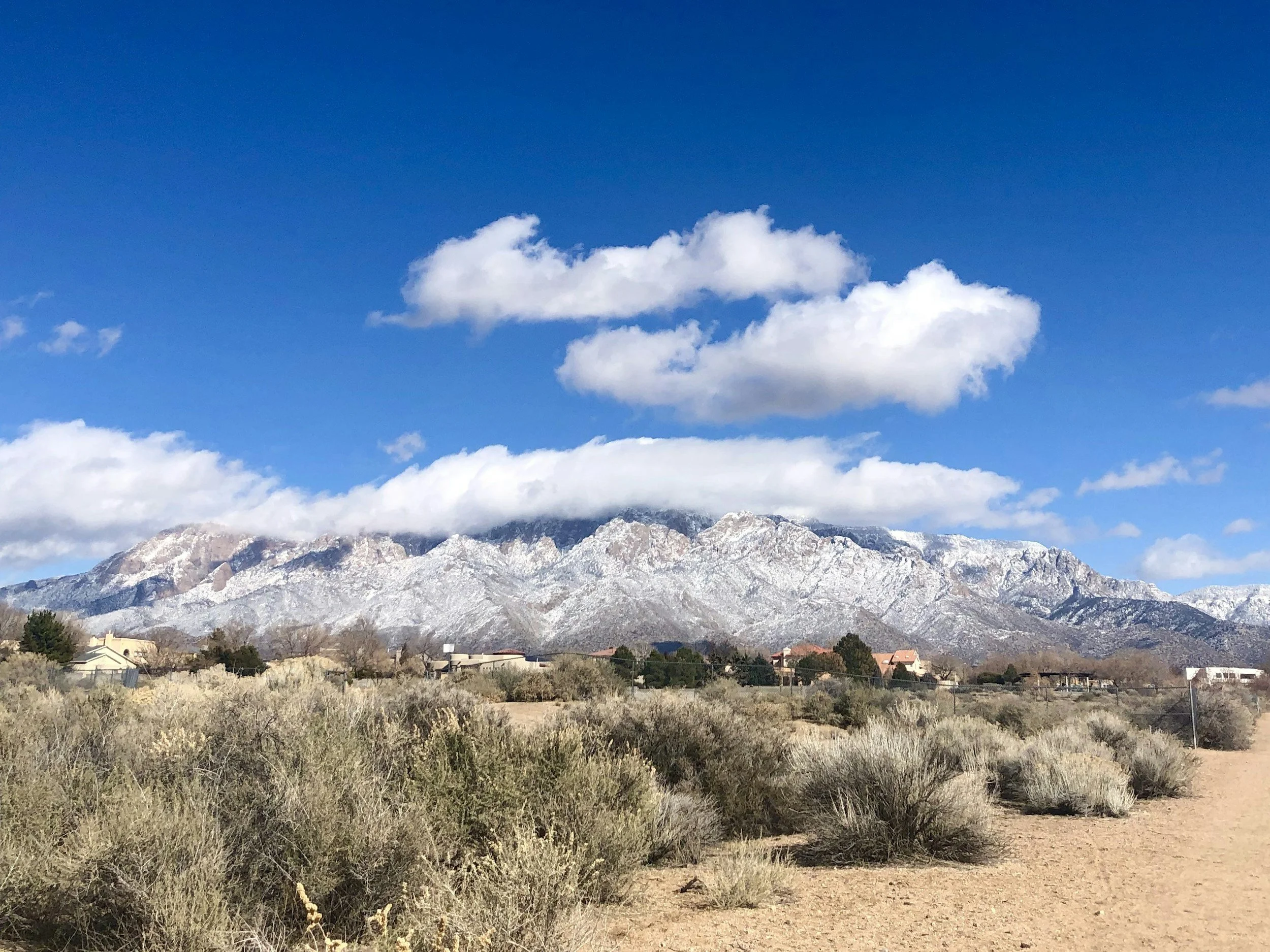 5 Scenic Road Trips from Albuquerque
