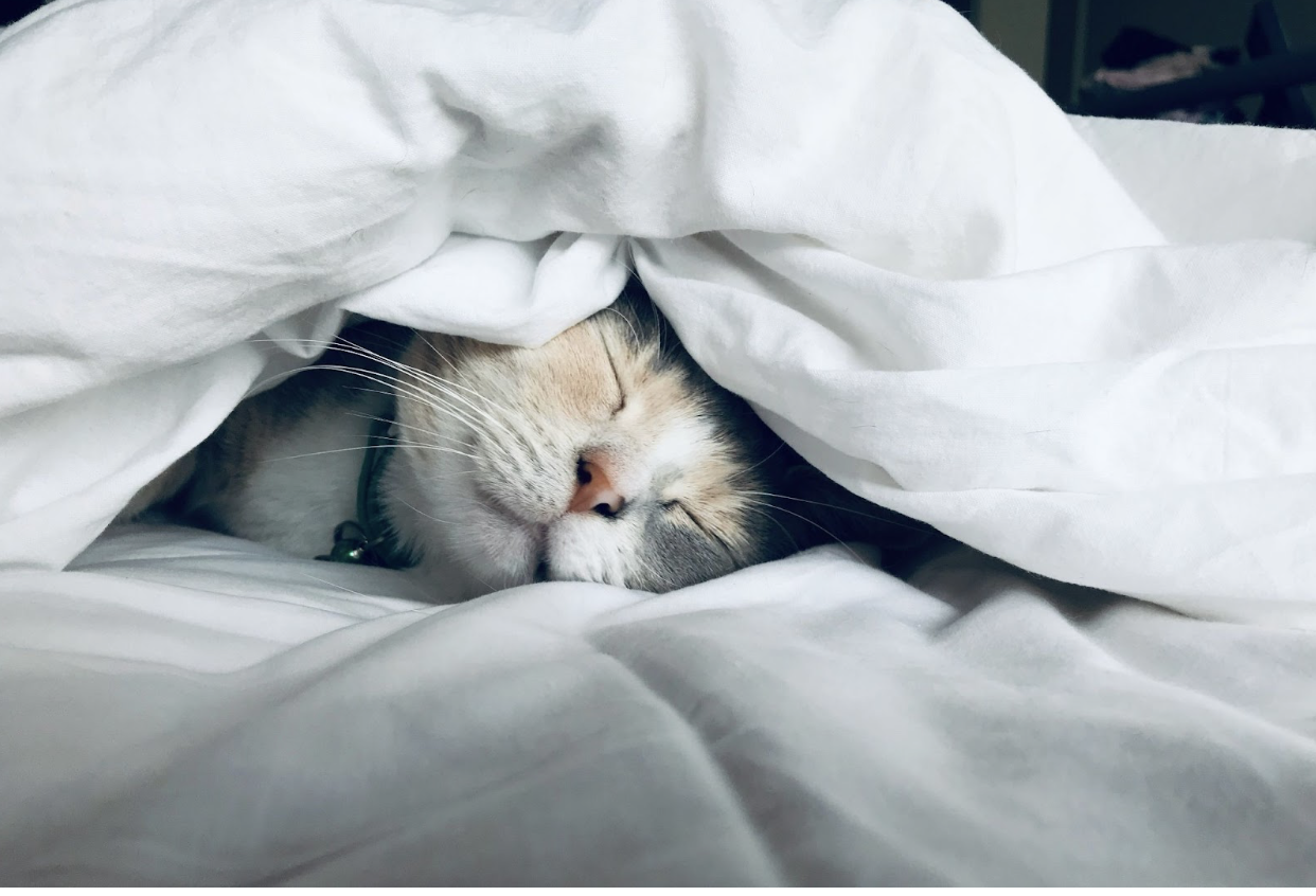 Your Struggle To Find Help For Excessive Daytime Sleepiness Ends Now 