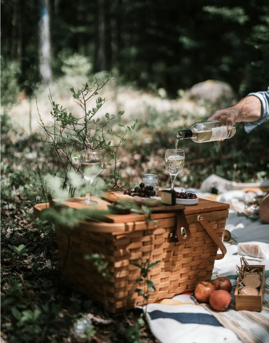 6 Ideas to Follow if You Want to Have a Great Picnic
