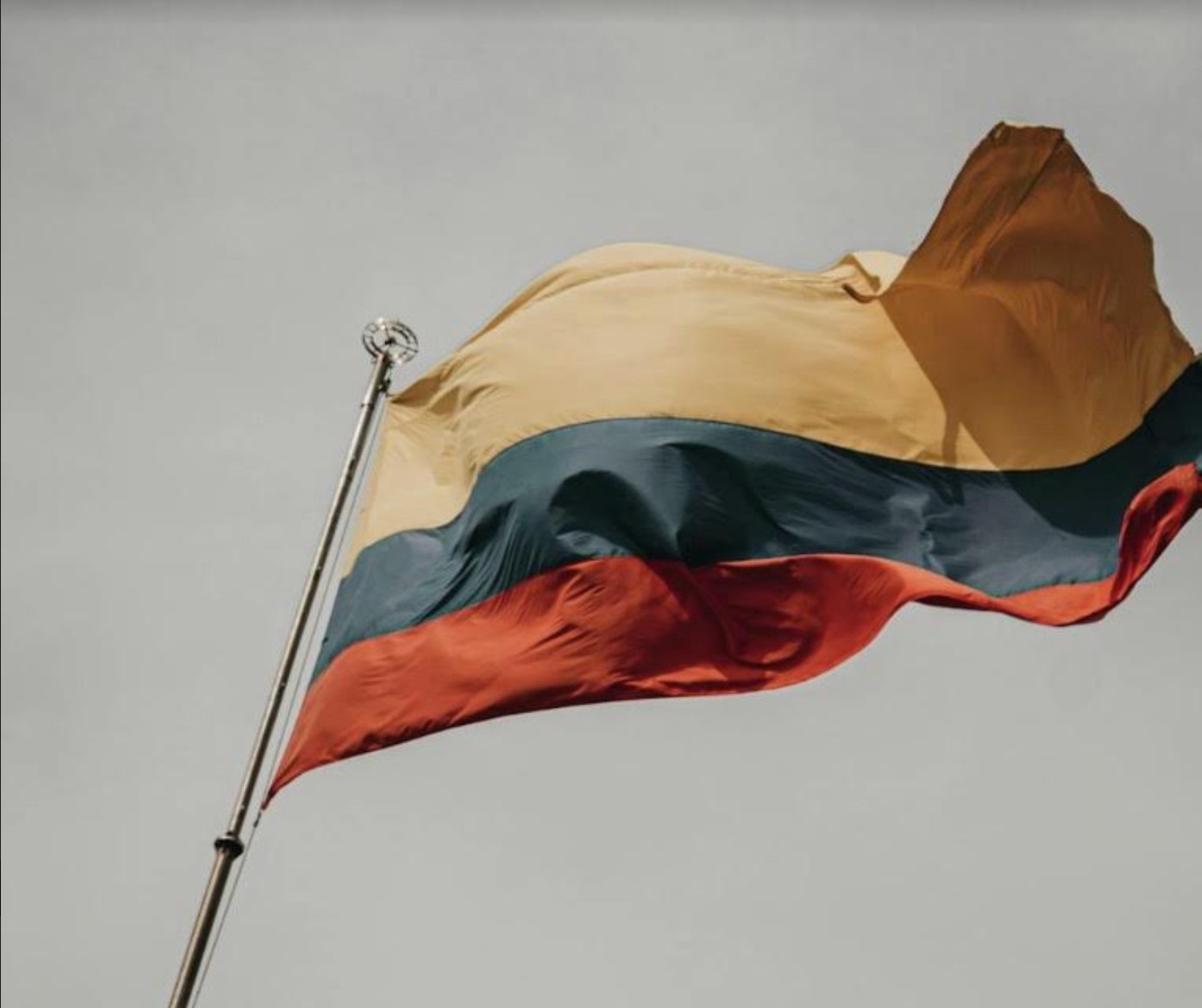 Lithuanian language services: bridging communication gaps in a globalized World