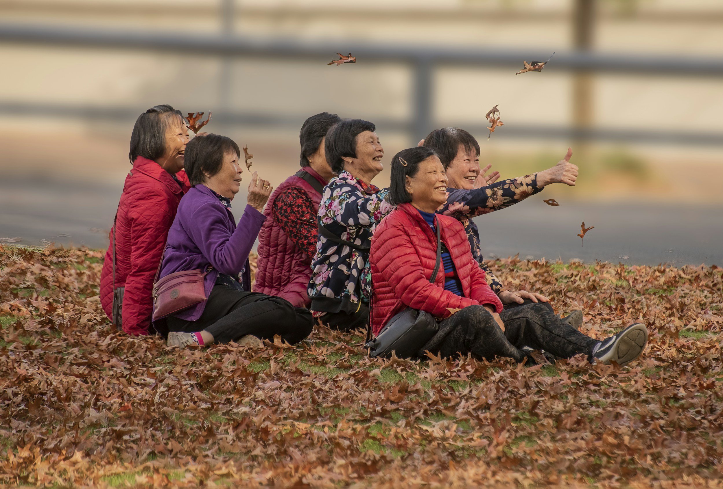 Discover the Ideal Elderly Living Community for a 75 Year Old Woman