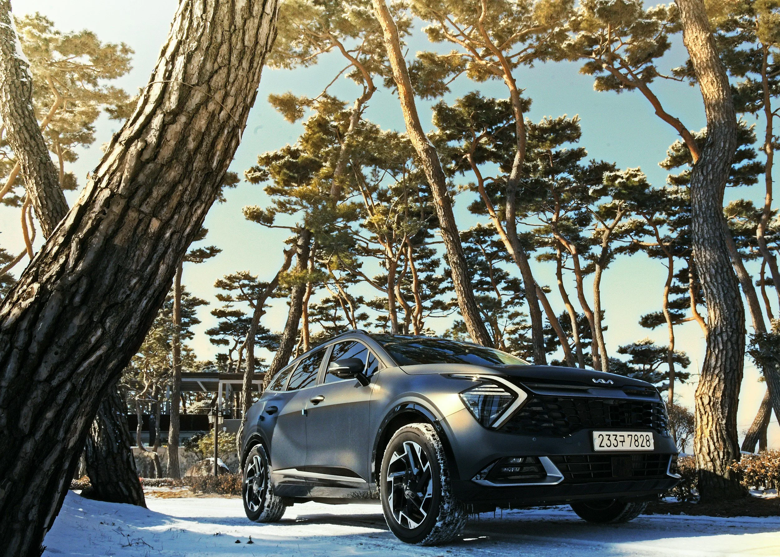 Pros and Cons of Buying a Kia: New vs. Used for Tour