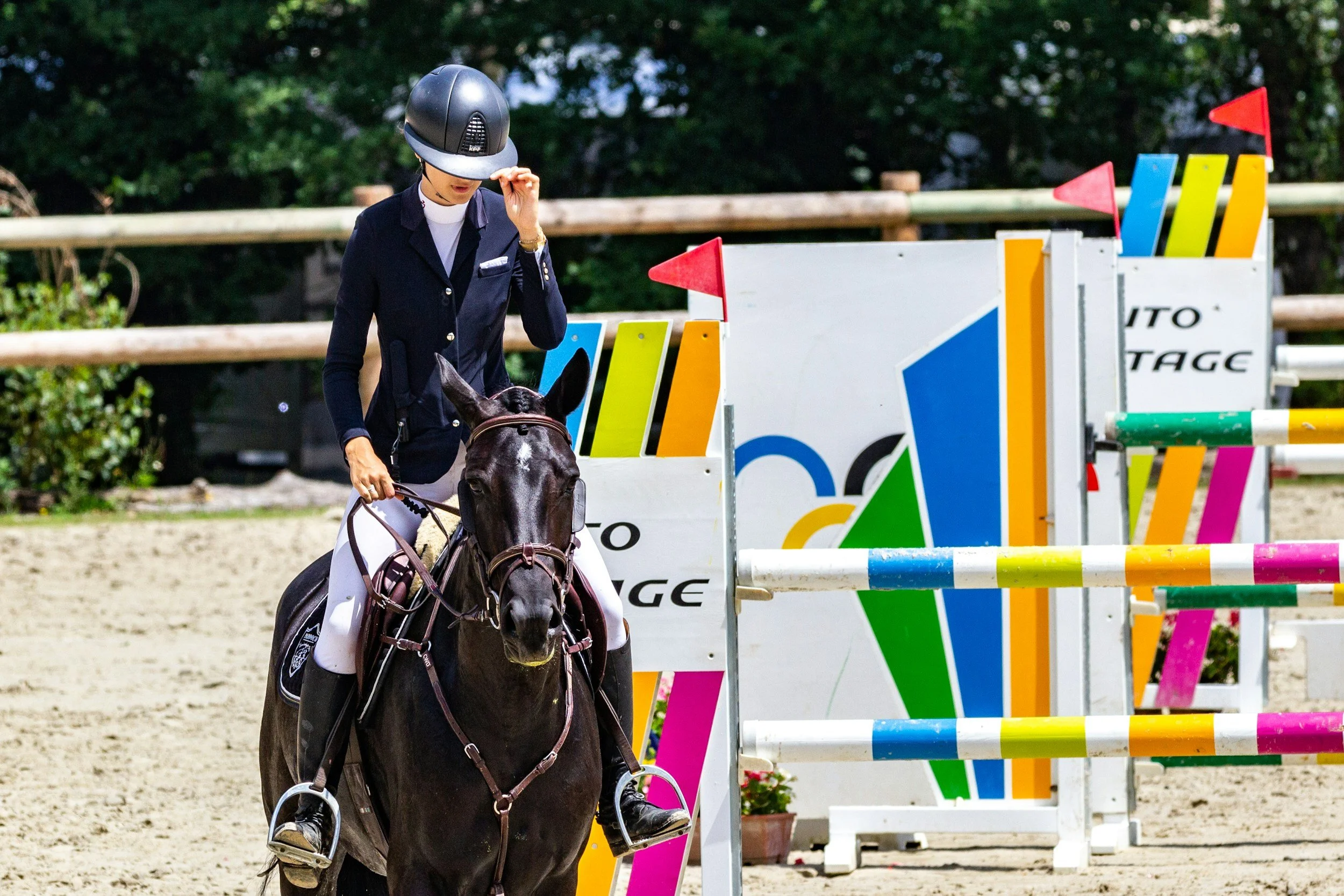 The Ultimate Guide to Preparing for a Horse Show: Tips and Tricks