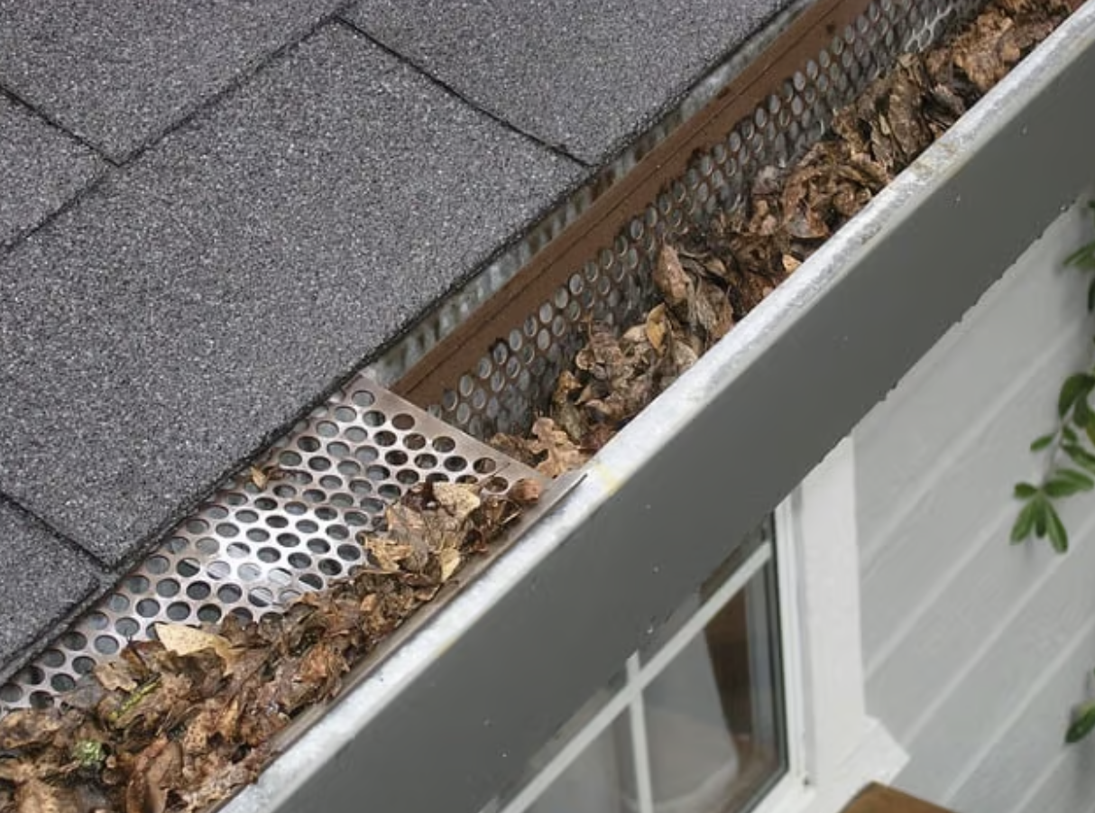 The Benefits of Having Gutters on Your Tiny Home