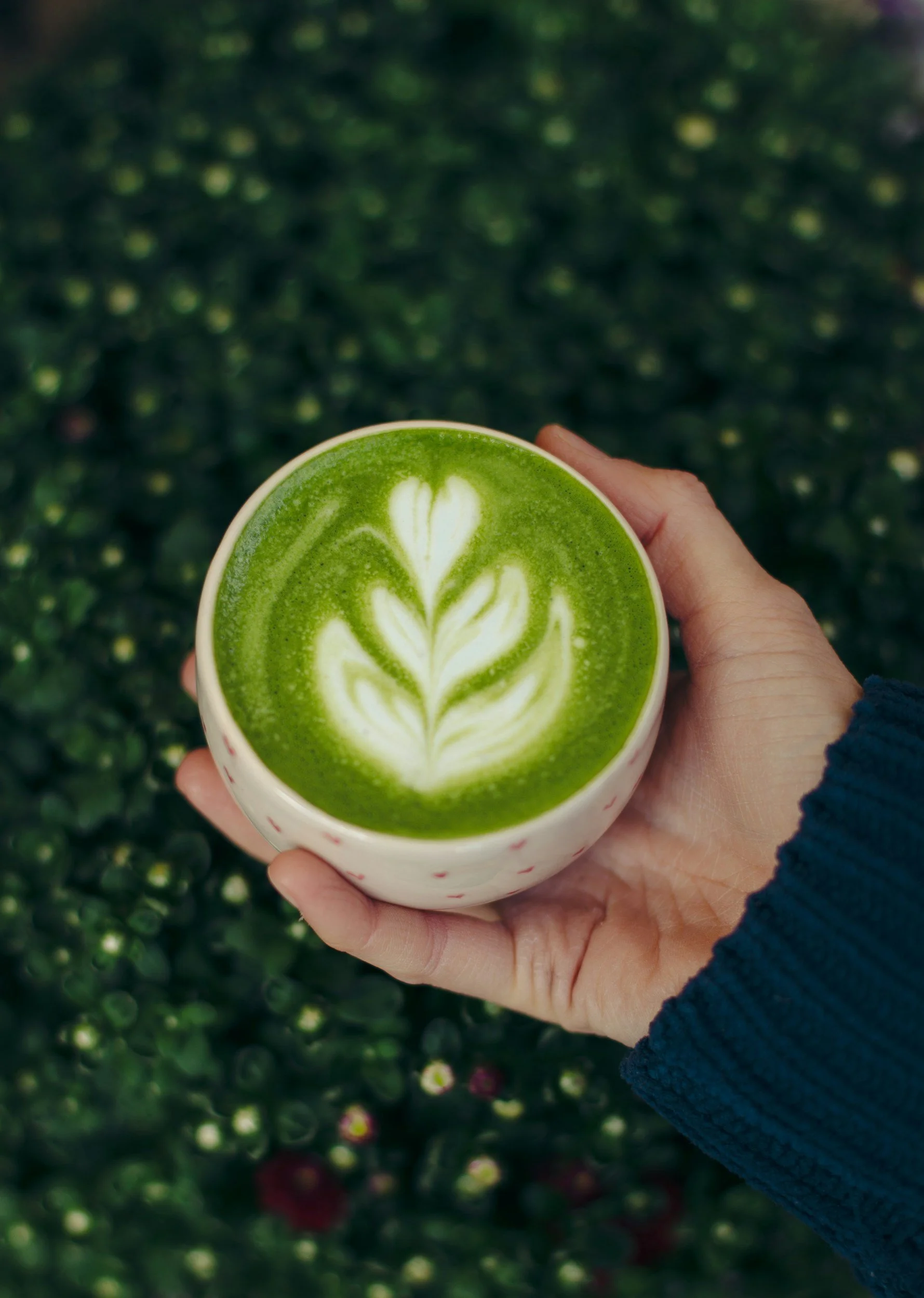 How Matcha Tea Helps Regulate Hormones