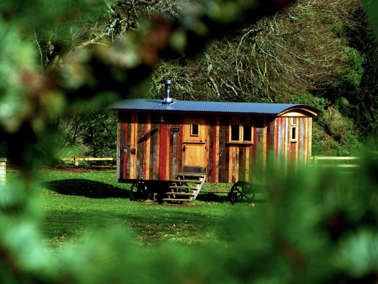 Key Factors to Consider When Replacing the Roof of Your Tiny Home