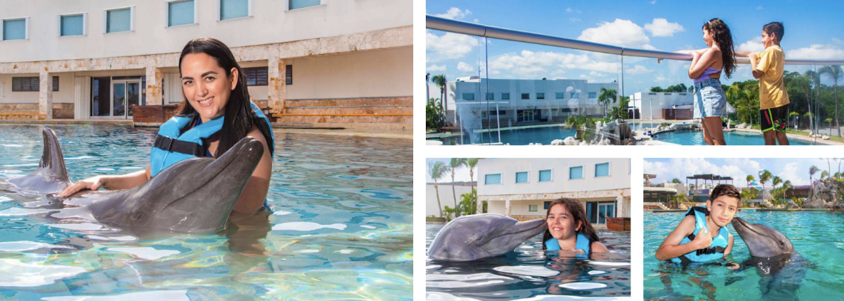 Discover the Best Things to Do in Cancun: Explore Dolphin Encounters and More!