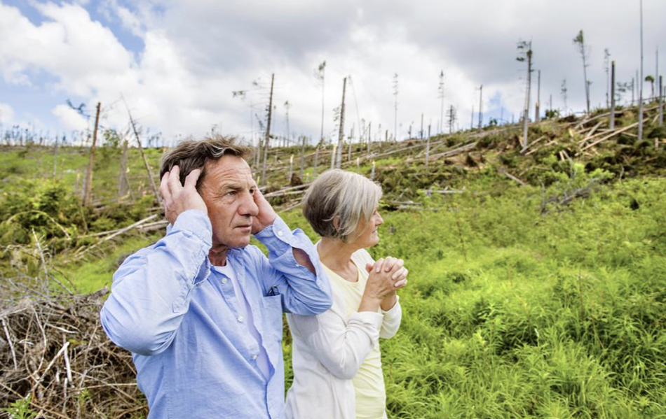 3 Home Maintenance Tasks You Shouldn't Delay After a Storm