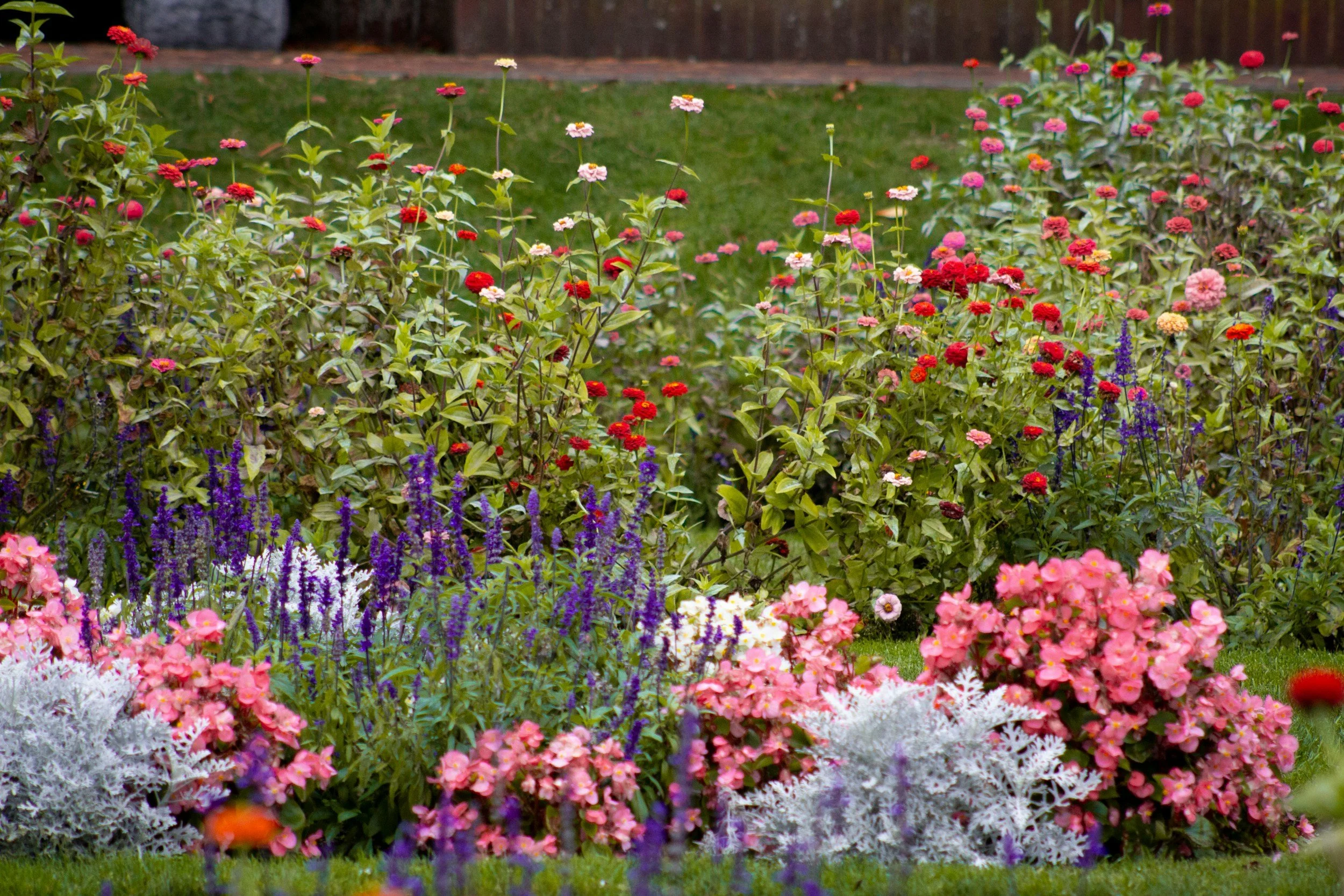 How to Design a Beautiful Flowering Garden in Small Spaces